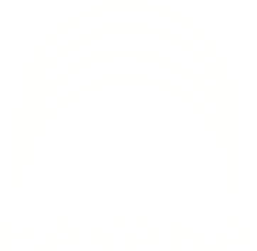The Havana